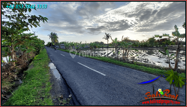 View of Rice Fields, Mountains and Sea 490 M2 in Sudimara Tabanan 2