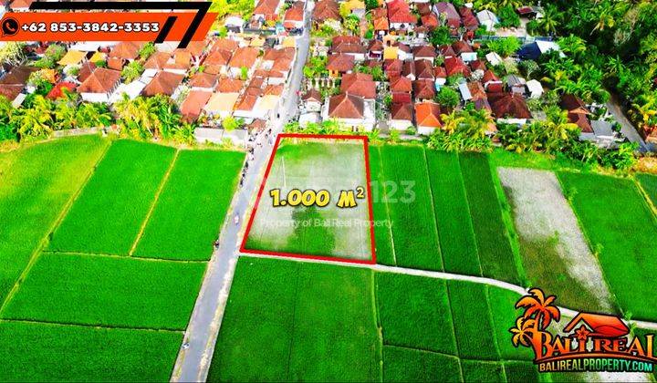 1,000 M2 View Sawah Dekat Pantai Kelating Dan Wisata Tanah Lot 2