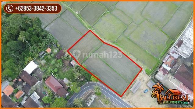 2,000 M2 Lahan Dijual di Kemenuh Pinggir Jalan Raya 2