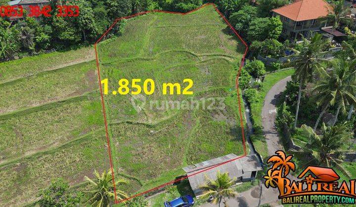 Tanah Akses Jalan Mobil 2.760 M2 Lokasi Jembrana 2