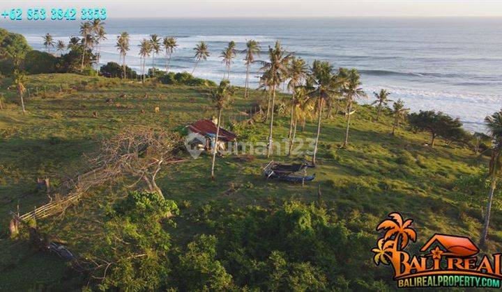 Land Ngantong 4,000 M2 Near the Beach on the Edge of the Provincial Road 2