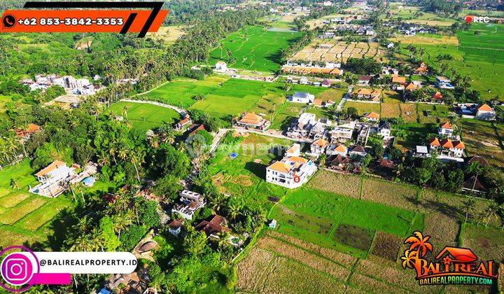 12.0 Are Pinggir Jalan Aspal Bekas Sawah Siap Bangun di Sukawati 2