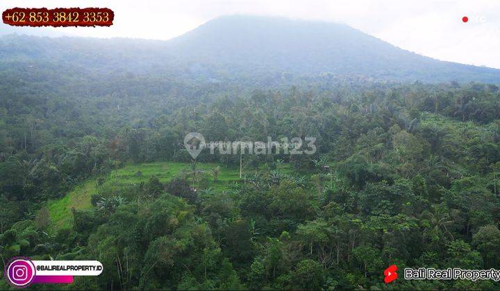 Lokasi Penebel Tanah Dijual 72 Are Pinggir Jalan Aspal  2