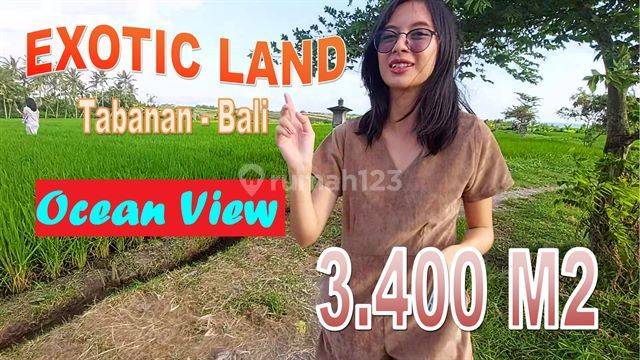 View Sawah, Laut Dan Gunung Dekat Pantai 3,400 M2 di Kerambitan 1