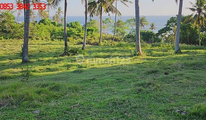 Dekat Pantai Pinggir Jalan Provinsi 9,900 m2 di Selemadeg Barat 2