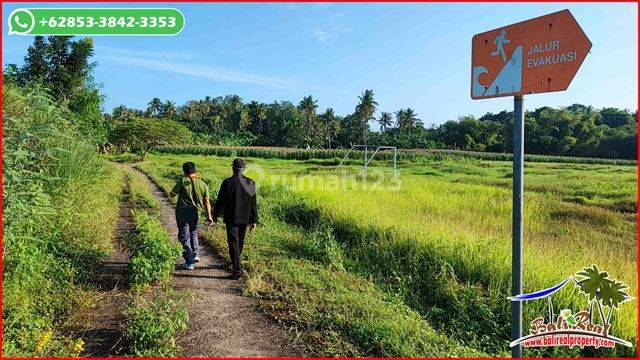 9.500 M2 Kontur Bagus Area Selemadeg Timur Dekat Pantai 2