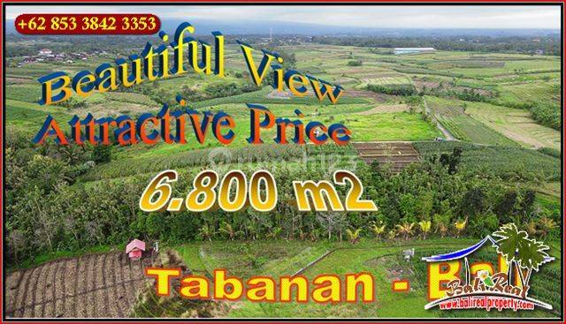 View Sawah, Sungai Dan Gunung 6,800 M2 di Kerambitan Tabanan 1