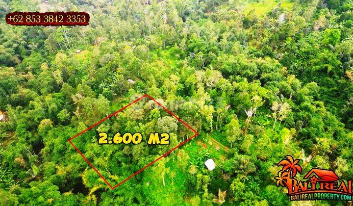 2,625 M2 Tanah Kebun Dijual Murah Dengan Akses Jalan Mobil 2