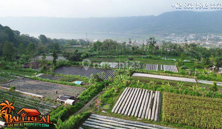 View Perkebunan dan Danau Buyan 100,000 m2 di Sukasada 2