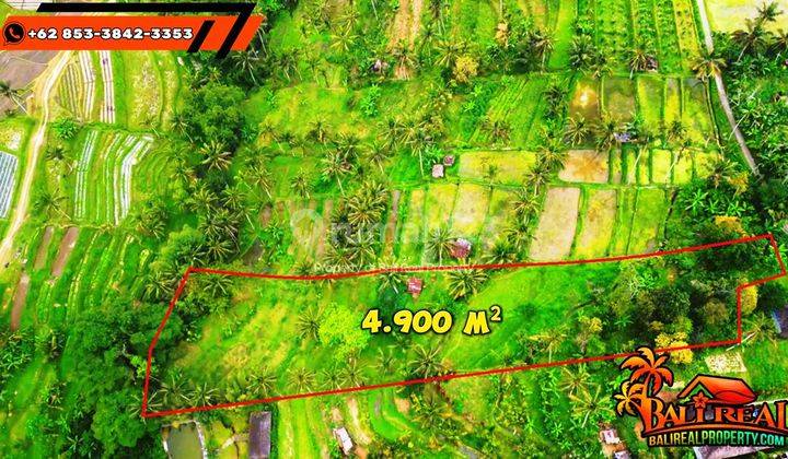 4,985 M2 Dijual Tanah Ngantong Dg Sumber Mata Air Panas di Lokasi 2