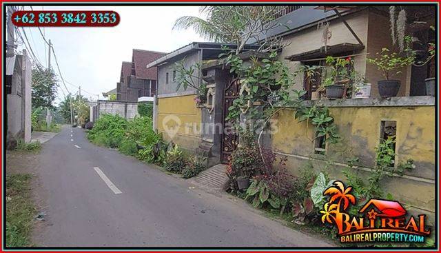 Dekat Sentral Ubud 200 m2 Akses Mobil Peruntukan Villa 2