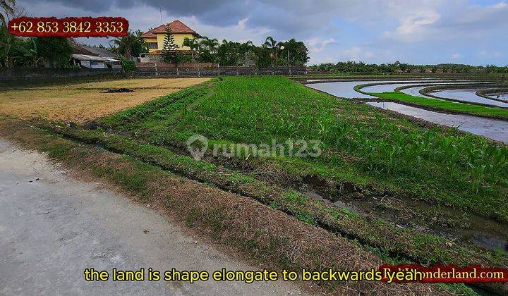 Potensial Lahan 7.3 Are Untuk Villa Pribadi 2