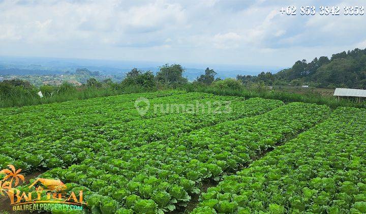 Langka, Murah 403 Are View Perkebunan, Gunung Dan Kota Denpasar 2