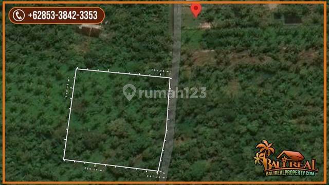 8,200 M2 View of Garden Near Planned Toll Area Gumbrih Pekutatan 2