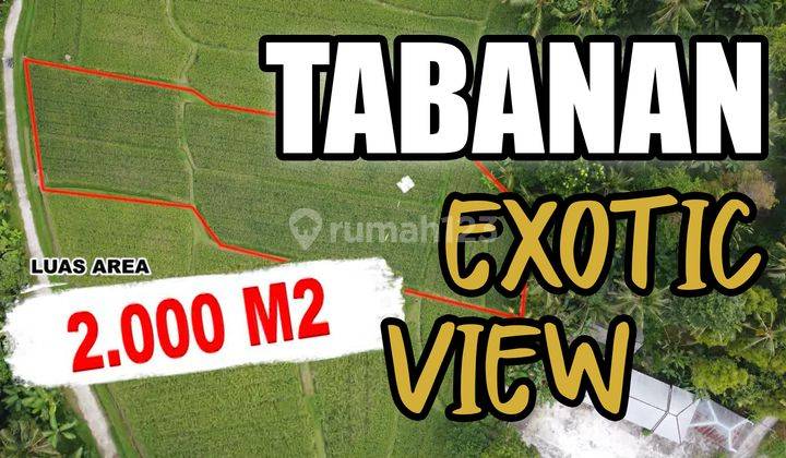 Dijual Tanah 20 Are Hadap Barat Pinggir Jalan di Penebel 1