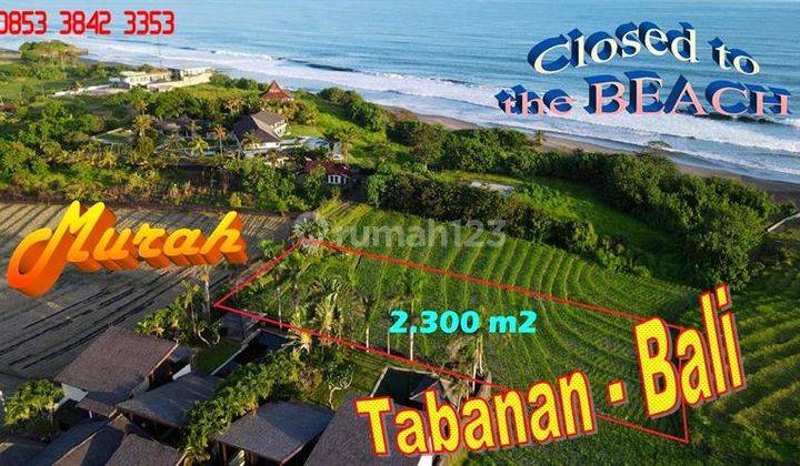 2,300 M2 Semi-Box Rice Field Land Near the Beach in Selemadeg 1