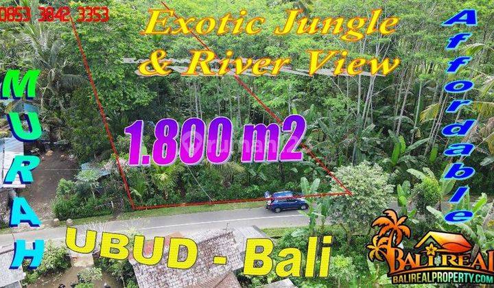 Murah 18.0 Are View Hutan Tepi Sungai di Ubud Tegalalang 1