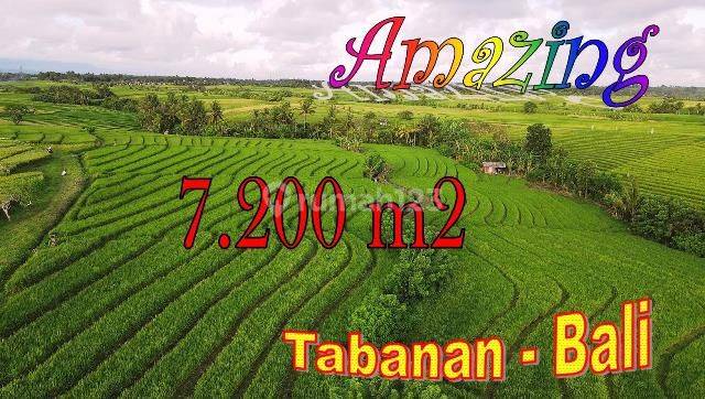 Strategis 72 Are View Sawah Dan Gunung Dekat Pantai 1