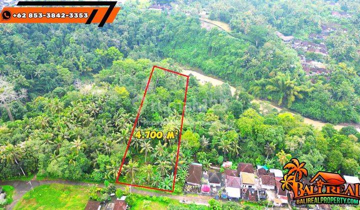 4,700 M2 Dekat Pantai Kelating Cocok Untuk Villa Area Seltim 2