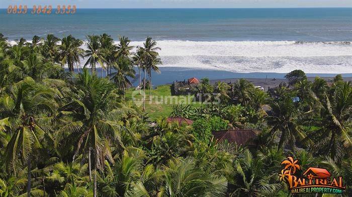 Tepi Pantai Beach Front 2,000 M2 di Kerambitan Tabanan  2