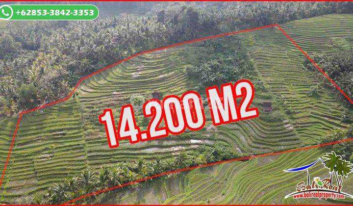 View Sawah, Gunung Dan Matahari Terbit 14,200 M2 di Tabanan 2