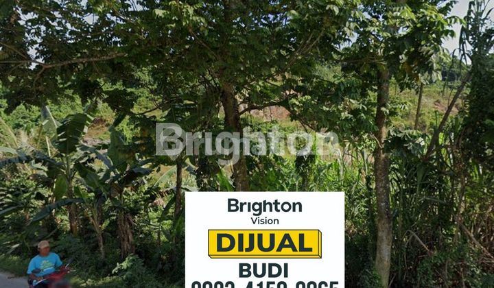 TANAH DIJUAL 1