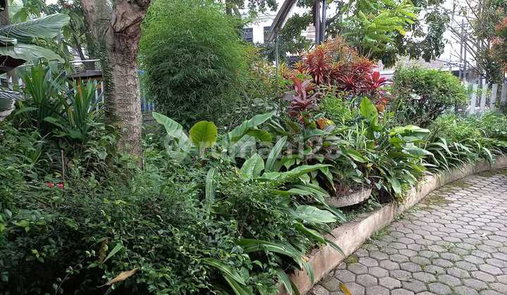 Dijual Rumah Jl Rajawali Dekat Rumah Sakit 2