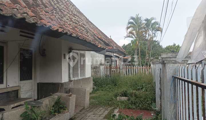 For Sale Rumah Murah Hitung Tanah!! Tengah Kota For Sale Rumah Murah Hitung Tanah!! Tengah Kota