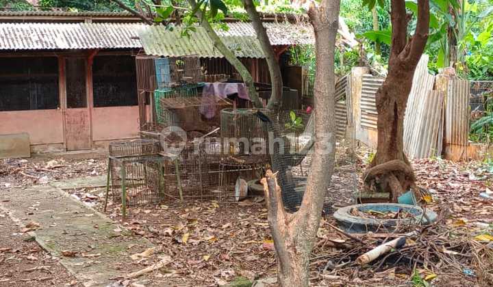 House for Sale with Large Land, SHM, Strategic Location, Safe and Comfortable 2