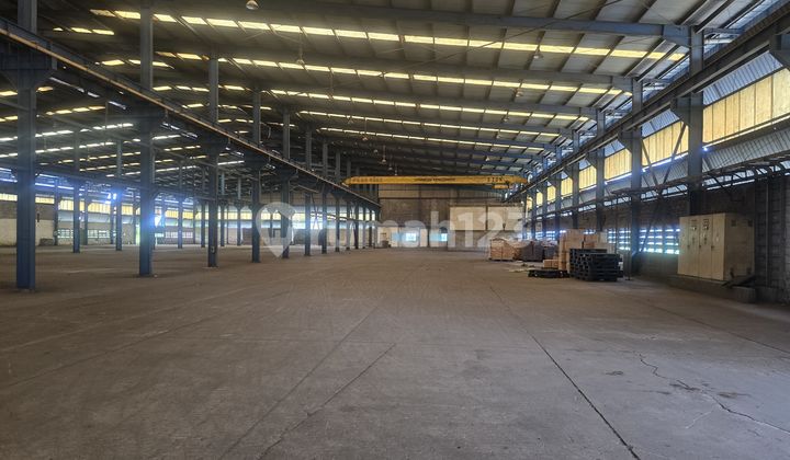 Disewakan Gudang Luas Siap Pakai di Jl. Raya Serang Balaraja 