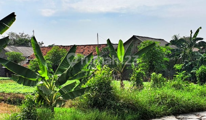 Di Jual Tanah Bekasi Babelan Luas 2,478m² Harga 2,750/m Strategis Tepi Raya Babelan, Kedung Pengawas, Babelan, Bekasi, Jawa Barat.#hamdan