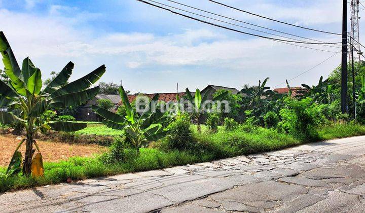 TANAH LUAS BEKASI STRATEGIS PINGGIR JALAN, JL.RAYA BABELAN,KEDUNG PENGAWAS BABELAN BEKASI JAWA BARAT 1