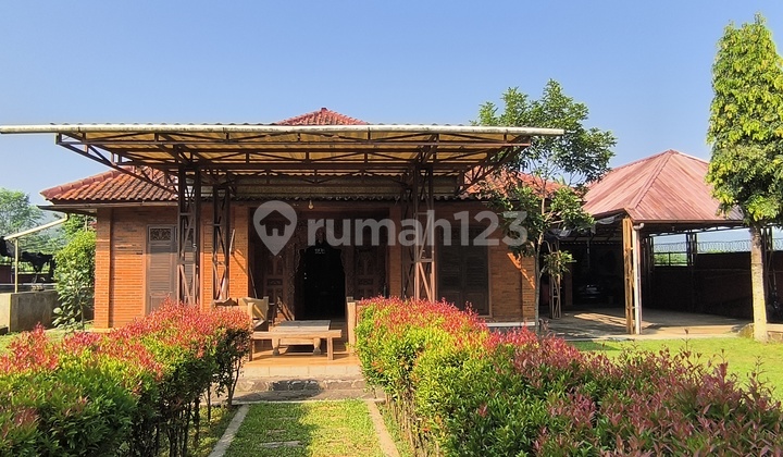 Di Jual Rumah Kemang Pabuaran Lt 25X65 Desain Klasik Tanah Luas dan Lebar Lokasi di Jl Raya Desa Pabuaran, Kemang, Bogor, Jawa Barat, Strategis Tepat di Tepi Jalan Raya Desa Di Jual Rumah Kemang Pabuaran Lt 25X65 Desain Klasik Tanah Luas dan Lebar Lokasi di Jl Raya Desa Pabuaran, Kemang, Bogor, Jawa Barat, Strategis Tepat di Tepi Jalan Raya Desa