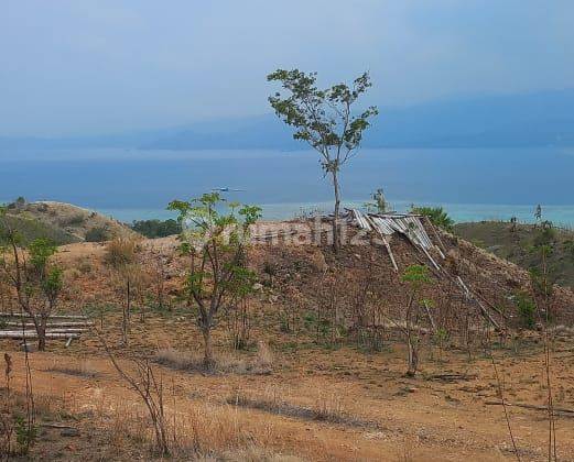 Dijual Tanah Di Labuan Bajo Boe , Ntt  2