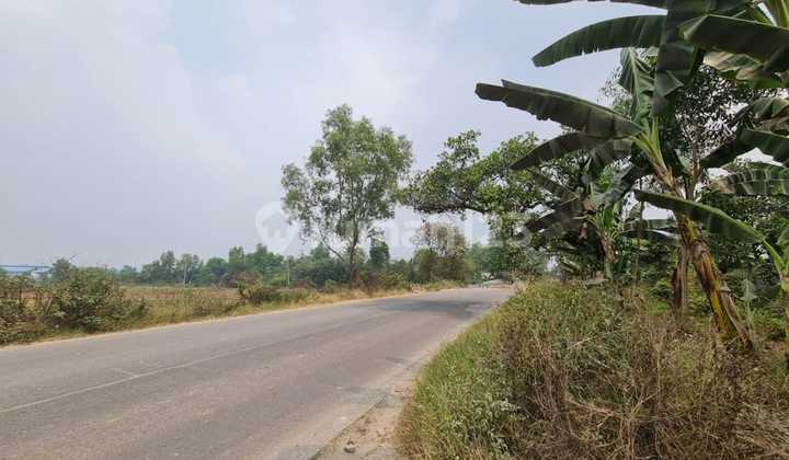 For Sale Fast Land/Plot in Industrial Area, Cikande For Sale Fast Land/Plot in Industrial Area, Cikande