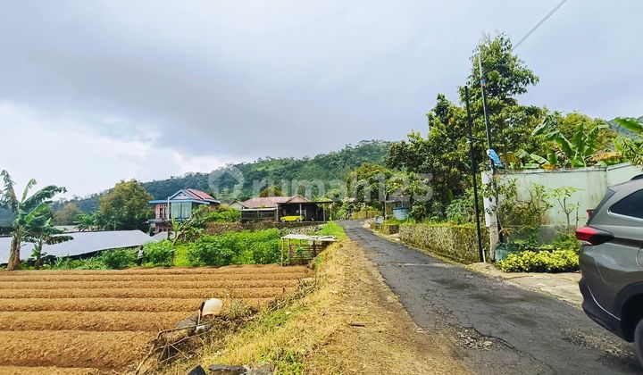 Jual Tanah Kawasan Wisata Kebun Teh Kemuning Karanganyar Solo 400Jt