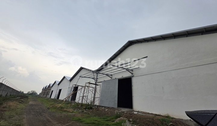 New Warehouse for Rent in Madiun 1.3 Hectares New Warehouse for Rent in Madiun 1.3 Hectares