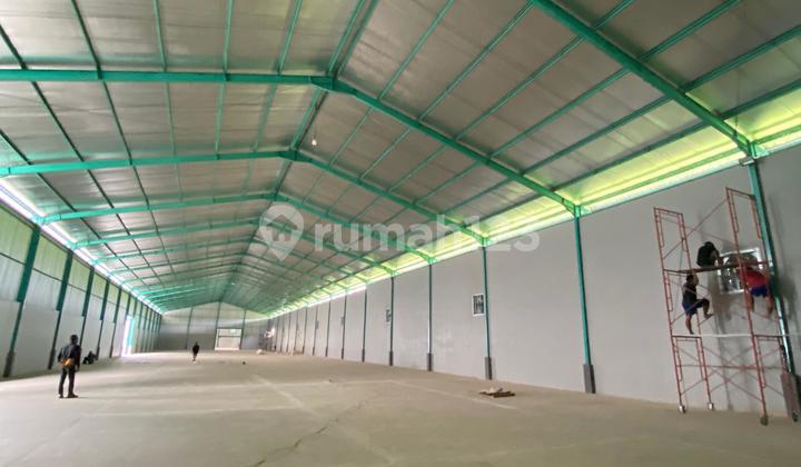 For Rent New Warehouse Tegal Central Java 1 Hectare For Rent New Warehouse Tegal Central Java 1 Hectare
