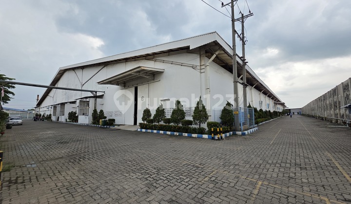 Warehouse for Rent in Sukoharjo Solo Red Zone, 1.8 Hectares Warehouse for Rent in Sukoharjo Solo Red Zone, 1.8 Hectares