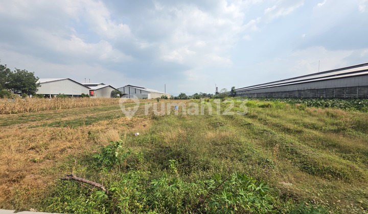 Jual Tanah Zona Industri Klaten Solo 4400mtr Jual Tanah Zona Industri Klaten Solo 4400mtr