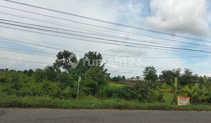 Sell 1.3 Hectares of Land in the Red Zone Industrial Area of Klaten Solo