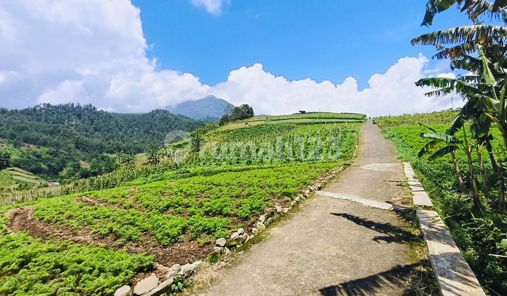 Jual Tanah Dekat Wisata Tawangmangu Karanganyar Solo 500 Juta