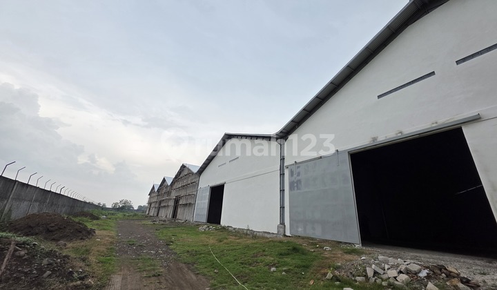 New Warehouse for Rent in Madiun 1.3 Hectares New Warehouse for Rent in Madiun 1.3 Hectares