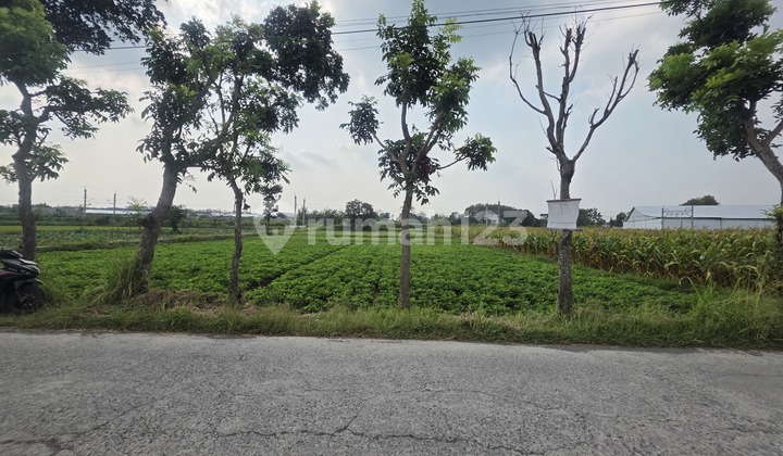 For Sale Industrial Zone Land Ceper Klaten Solo 2200m