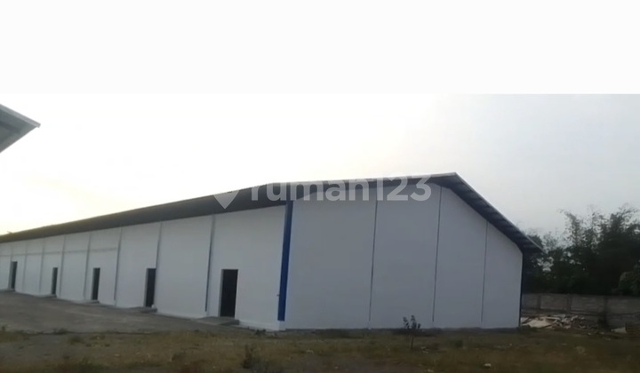 For Sale New Warehouse Nganjuk East Java 1.9 Hectares For Sale New Warehouse Nganjuk East Java 1.9 Hectares