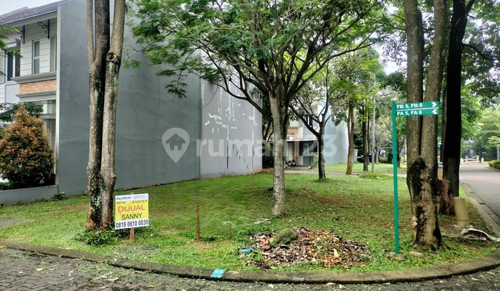 RARE STOCK! Hook Lots at Green Wich