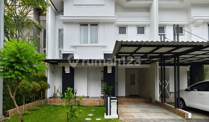 De Latinos Mexicano BSD City, dekat stasiun rawabuntu De Latinos Mexicano BSD City, dekat stasiun rawabuntu