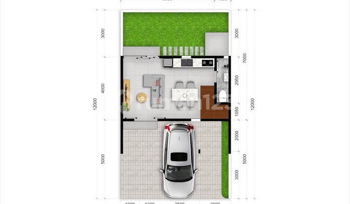 Casuarius Park Type In The Back 2