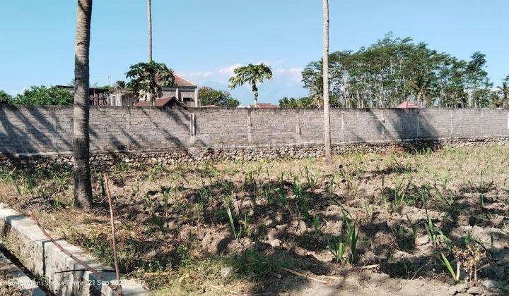 Dijual Tanah Di Turen, Cocok Untuk Ladang Tebu / Gudang 1