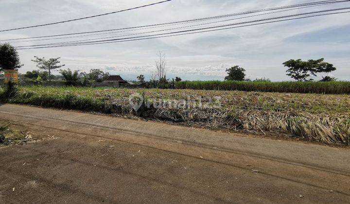 Dijual Tanah Luas Murah Banget, Karangploso, Malang 2